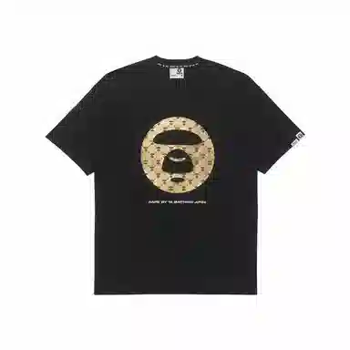 Aape T