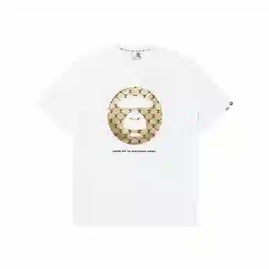 Aape T
