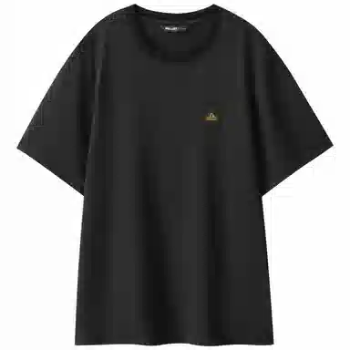 PELLIOT T