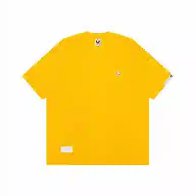 Aape T