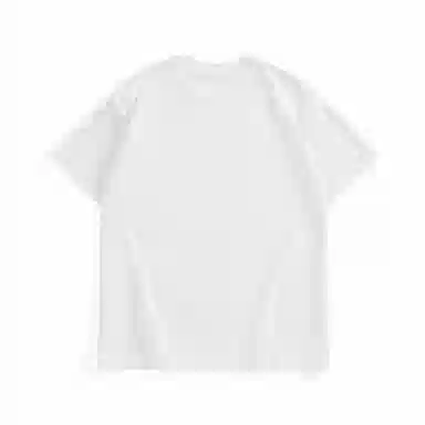 Hansca T