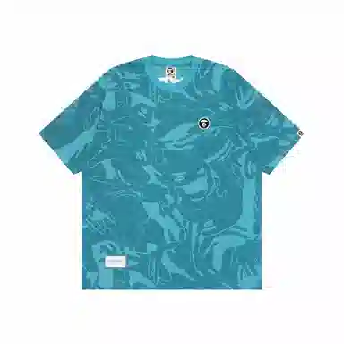 Aape T