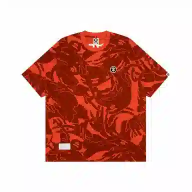 Aape T