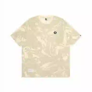 Aape T