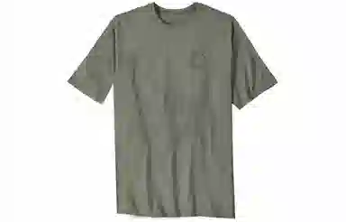 patagonia T