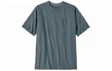 patagonia T
