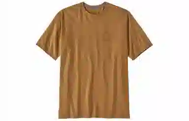 patagonia T