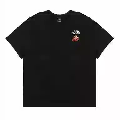 THE NORTH FACE Extraordinary T