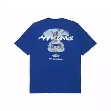 Aape FW23 T