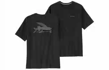 patagonia T
