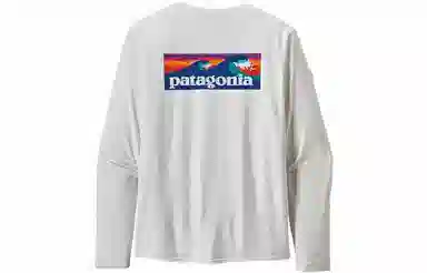 patagonia T