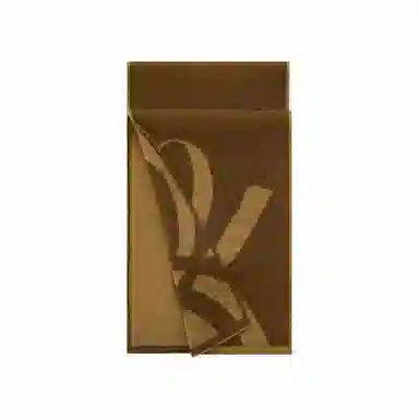 WENSLI log-