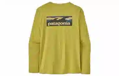 patagonia T