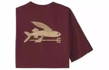 patagonia T
