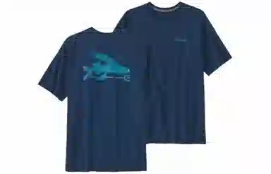 patagonia T