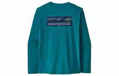 patagonia T