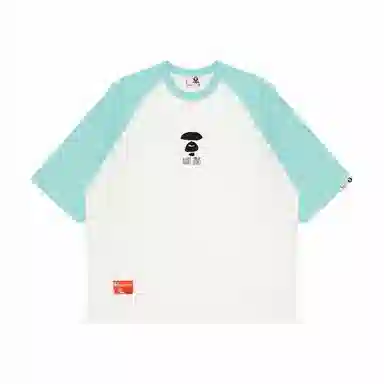 Aape T