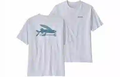 patagonia T