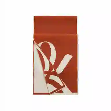 WENSLI log-