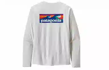 patagonia T
