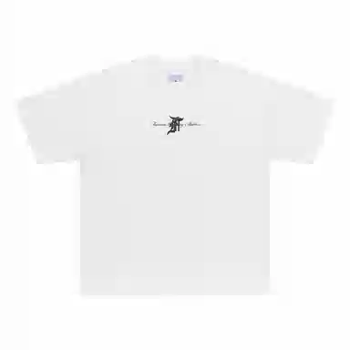 FEAROM T