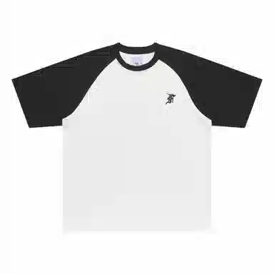 FEAROM T