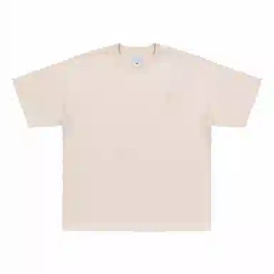 FEAROM T