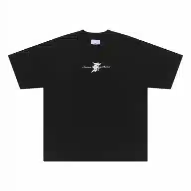 FEAROM T