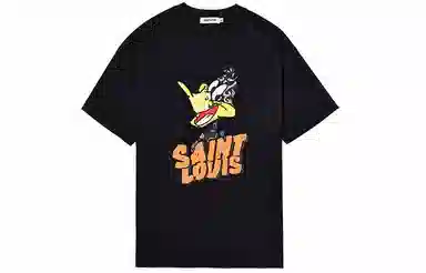 SSSAINT LOUIS the DUCKT