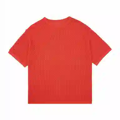 MT99 T