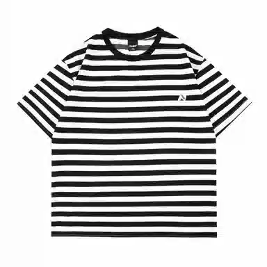 STANAIR T