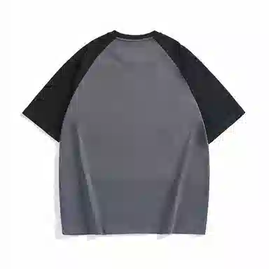 Hansca T