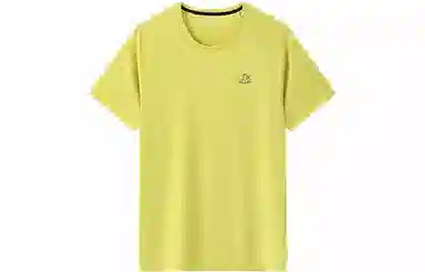 PELLIOT T