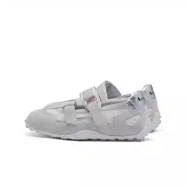 AQUASCUTUM