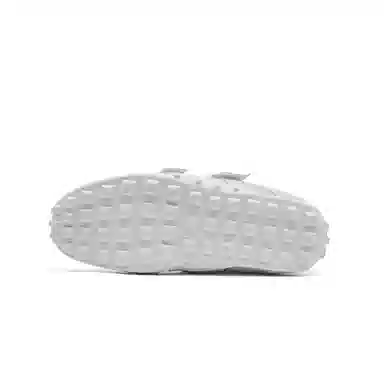 AQUASCUTUM