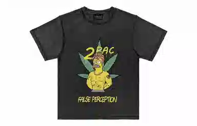 False Perception 2PACT