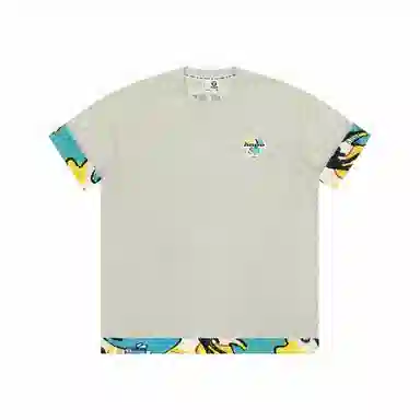 Aape T
