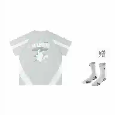 VEIDOORN x POKEMON T