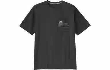 patagonia T