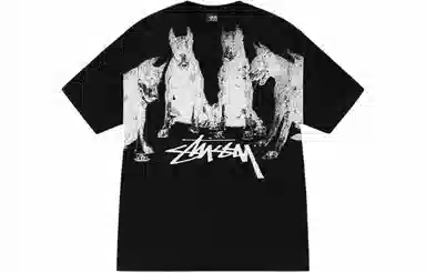 Stussy