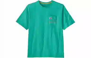 patagonia T