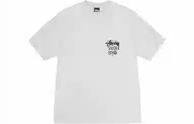 Stussy SS24 logoT