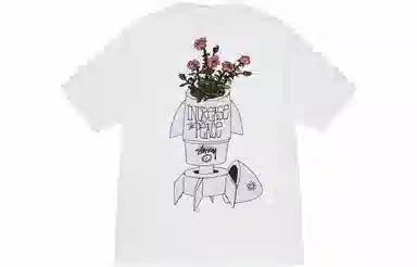 Stussy FW23 FLOWER BOMB TEE T