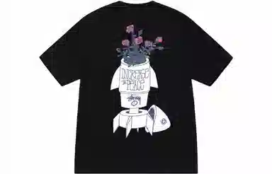 Stussy FW23 FLOWER BOMB TEE T