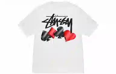 Stussy FW23 Suits Tee