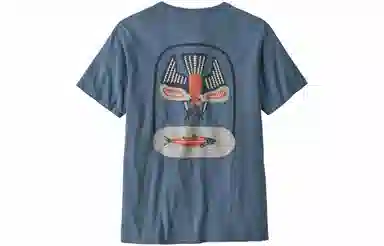 patagonia T