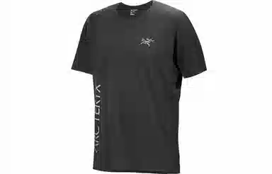 Arcteryx Norvan Downword Logo T