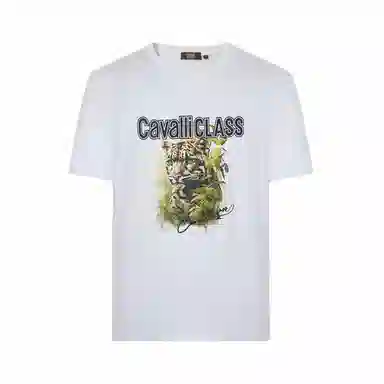 Cavalli Class T