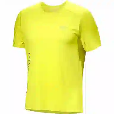 Arcteryx Norvan Downword Logo T