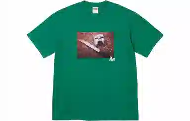 Supreme x MF DOOM Tee